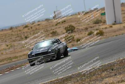 media/May-03-2025-Lucky Dog Racing (Sat) [[206de64b9d]]/Turn 6 (150pm-230pm)/